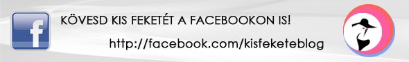 FB_kovess_blogra_lapos