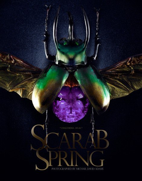 scarabsbymichaeldavidadams1