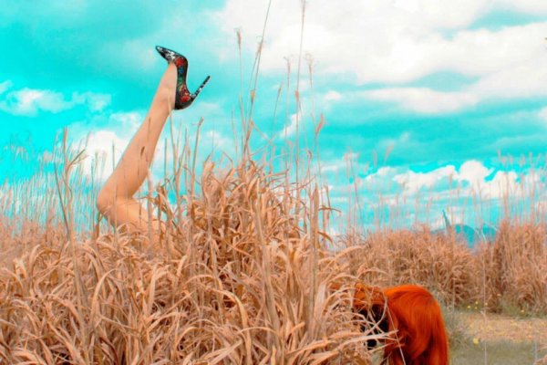 roberto cavalli Psychotic Love11