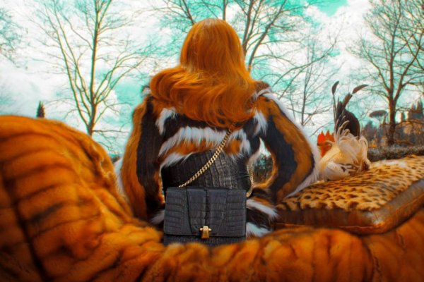 roberto cavalli Psychotic Love12