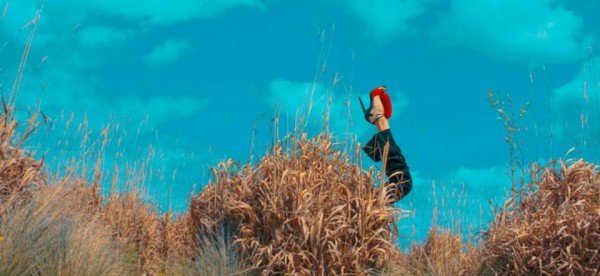 roberto cavalli Psychotic Love13