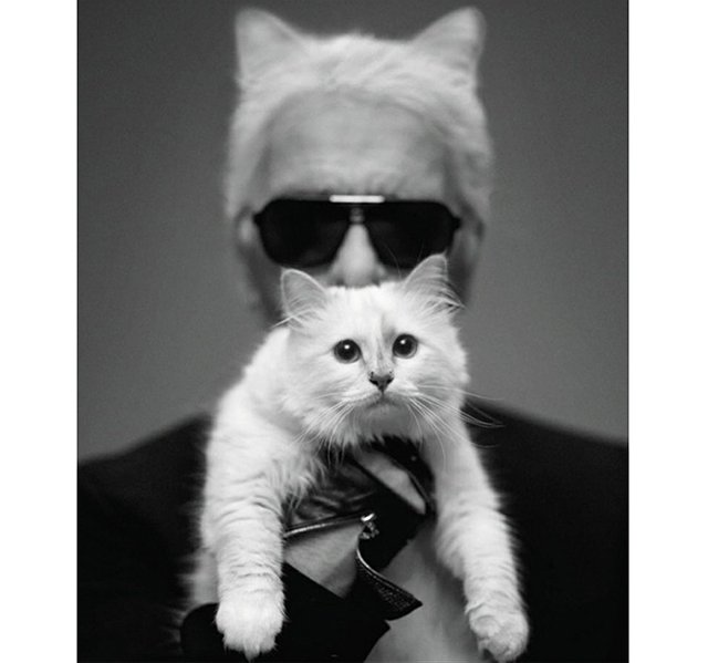 Choupette_Lagerfeld_made_3_in_2014