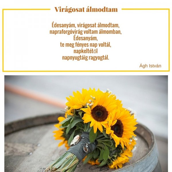 édesanyám napraforgó